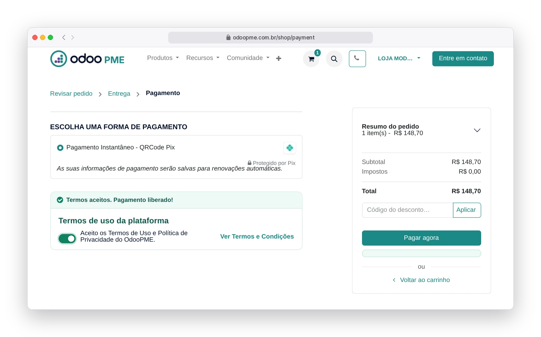 Tela de pagamento do RobSolution com Pix selecionado, termos de uso aceitos e botão Pagar agora liberado
